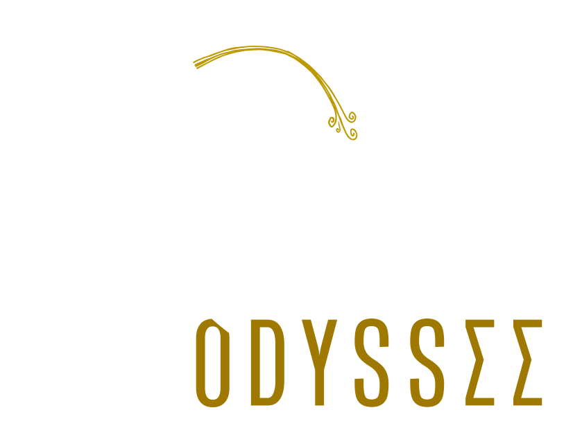 Logo Mixodyssée